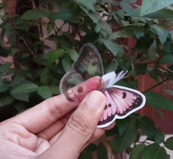 Butterflies and Floral Transparent Stickers for Journaling