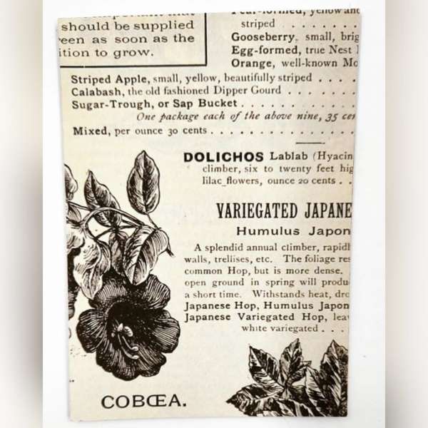 Old Newspaper Cutouts For Journaling And Scrapbooking