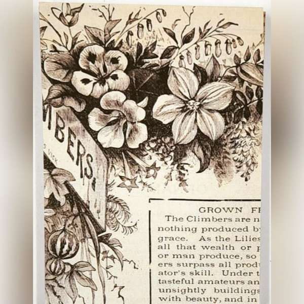 Old Newspaper Cutouts For Journaling And Scrapbooking