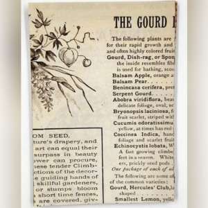 Old Newspaper Cutouts For Journaling And Scrapbooking