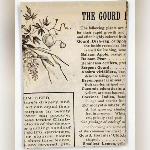 Old Newspaper Cutouts For Journaling And Scrapbooking