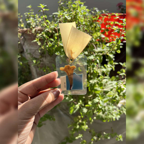Dried Flower Bookmarks