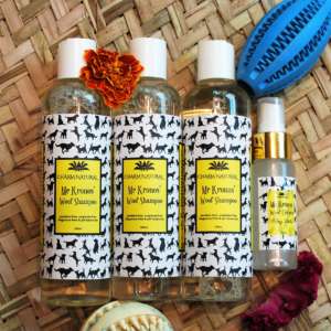 Doggo Shampoo Bundle