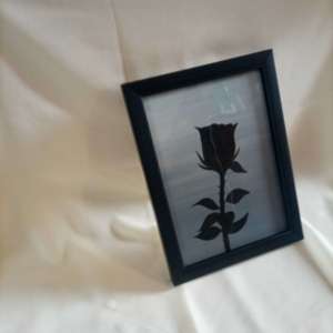 Black Rose Frame