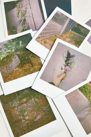 polaroids