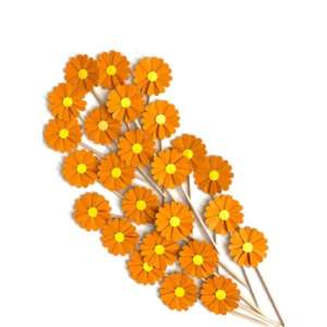 Orange Daisy Party Picks