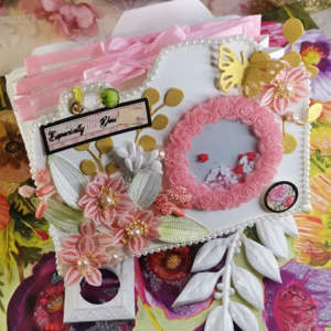 Paper and Photos Storage Camera Folder